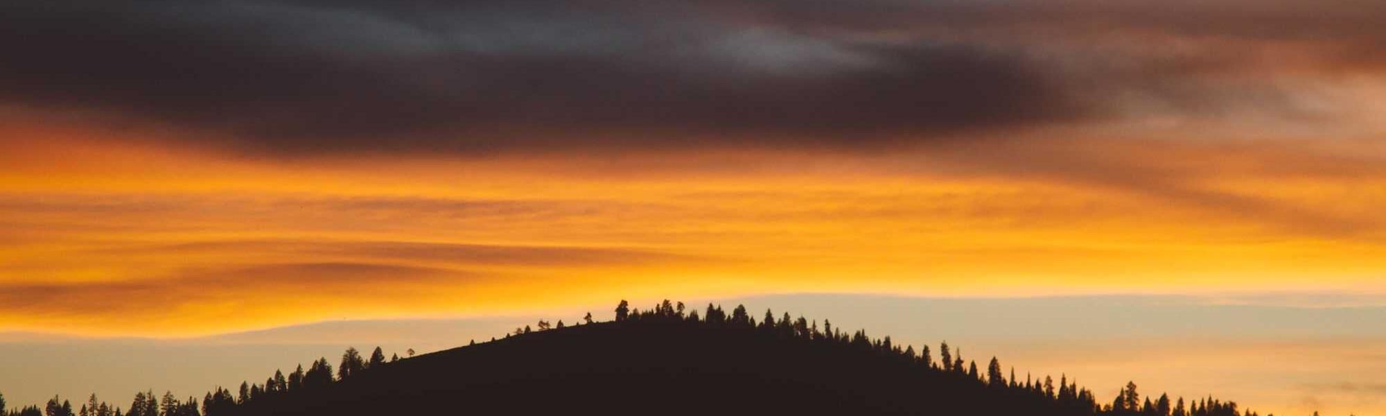 Fusce rutrum maximus egestas.